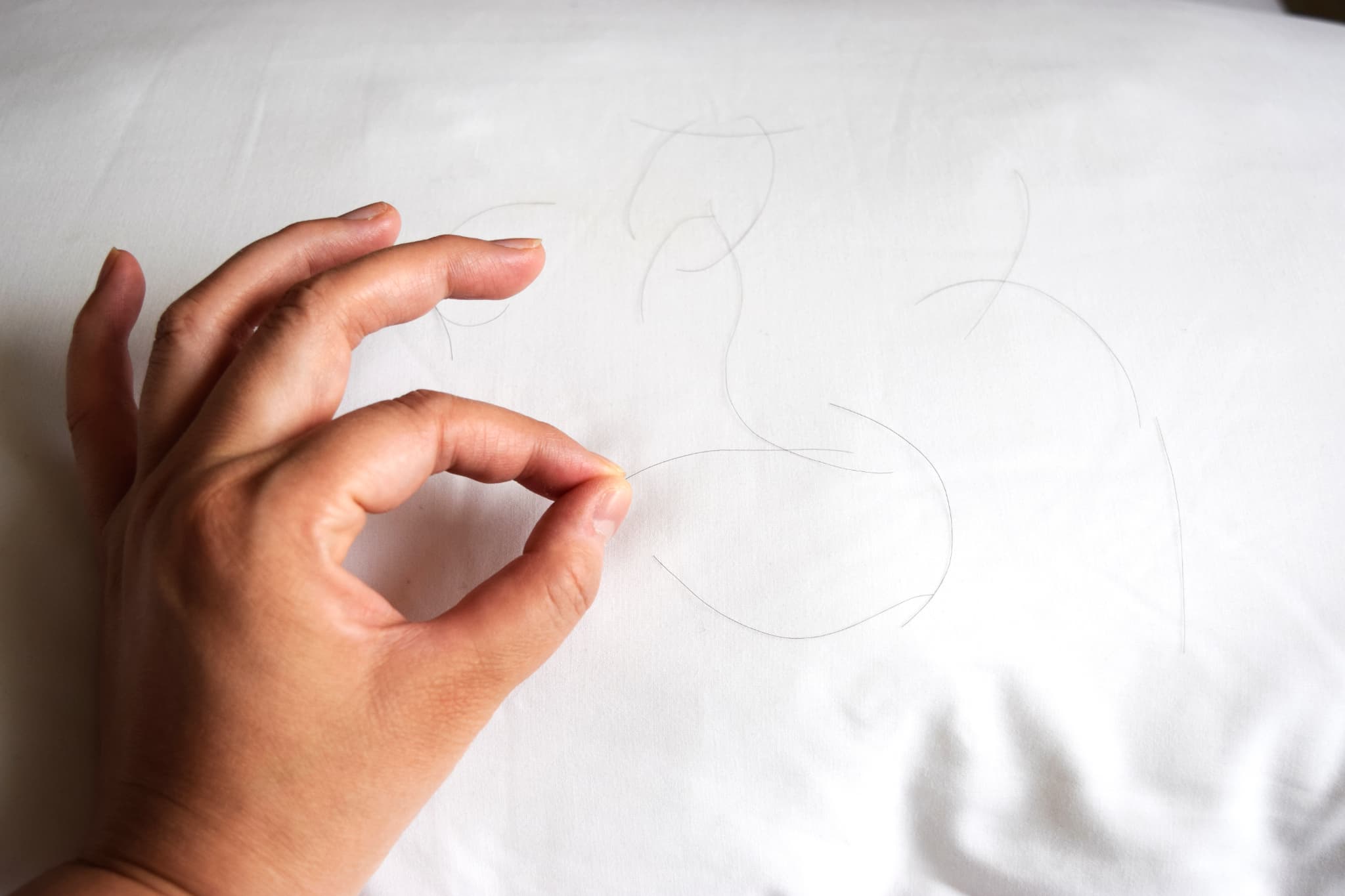 抜け毛の本数を数えてみる