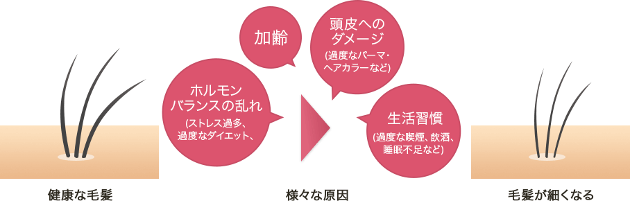 髪毛が細くなる原因