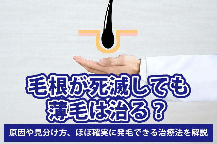 毛根が死滅しても薄毛は治る？原因や見分け方、ほぼ確実に発毛できる治療法を解説