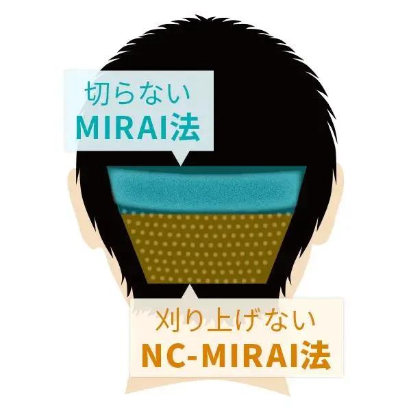 United-MIRAI法