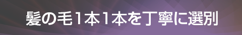髪の毛1本1本を丁寧に選別