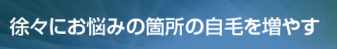 徐々にお悩みの箇所の自毛を増やす