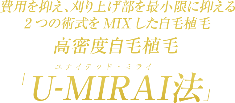 U-MIRAI法