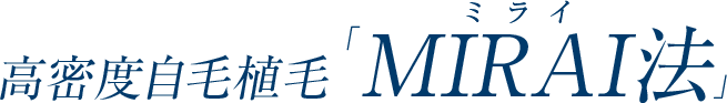 MIRAI法