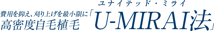 U-MIRAI法