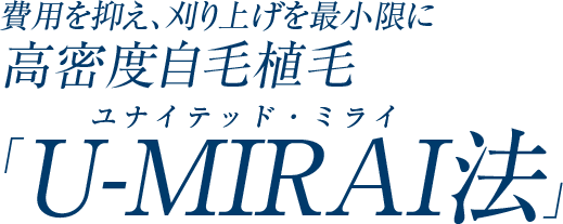 U-MIRAI法