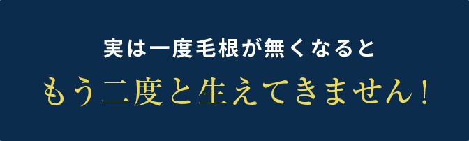 実は一度毛根が無くなるともう二度と生えてきません！ 
