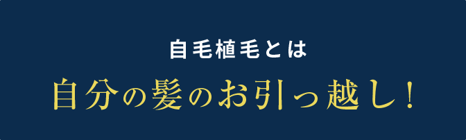 自毛植毛とは 自分の髪のお引っ越し！